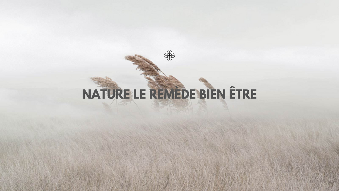 La nature le remède bien être pour 2023